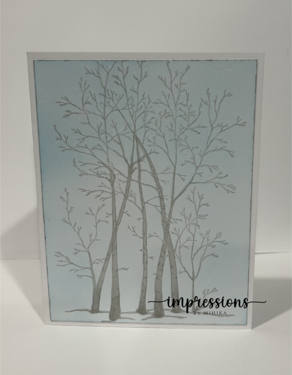 Birch Trees-Blank Card